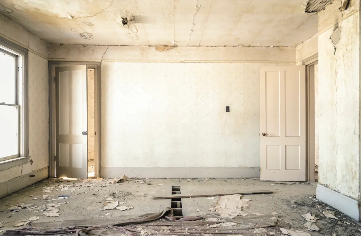 Waste disposal crew managing a cleanout project in Bridgeville